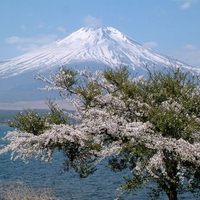 Mount Fuji