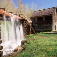 Mingus Mill