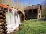 Mingus Mill