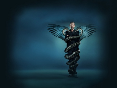 Snakes on a MAN - wings, house, snakes, doctor