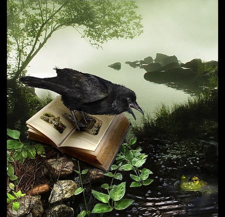 Book of spells - abstract, hot, book, raven, 3d, art