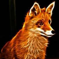 FRACTAL,FOX,IMAGE