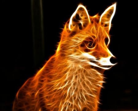 FRACTAL,FOX,IMAGE - animal, fox, fractal, image