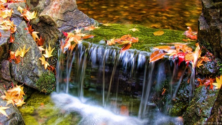 Colorfall - nature, surf, pretty, stream, flowers, colors, waterfall