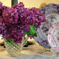 Lilacs And Porcelain