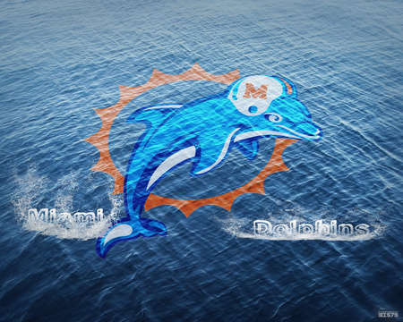 Miami Dolphins Ocean - dolphins, miami, ocean