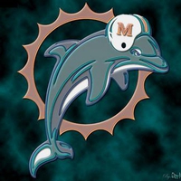 Miami Dolphins Dark