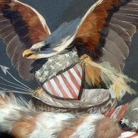 19thC Patriotic Eagle 