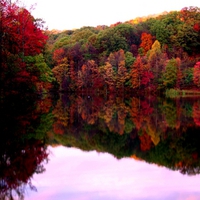 FALL WINE CELLAR LAKE 