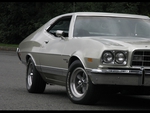 Gray 73 Torino