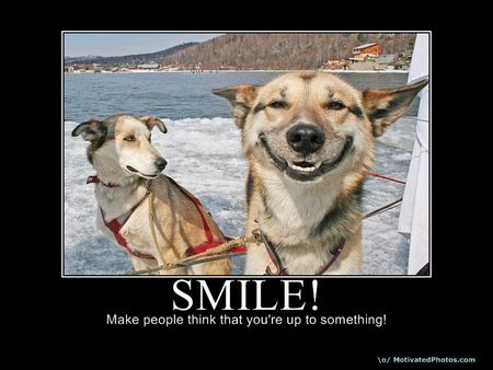 Smile - dog, smile