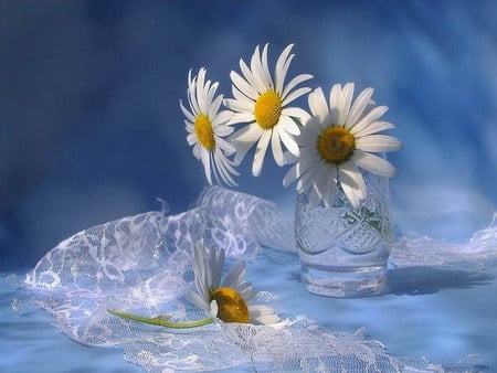 daisy - white, lace, blue, glass