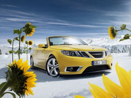 dream of seasons - winter, yellow, sunflower, car