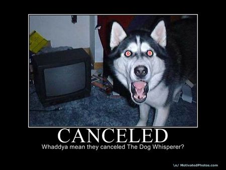 CANCELED!!!!!! - cancele, do, how, canceled, you