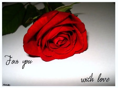 With love - note, love, rose, red