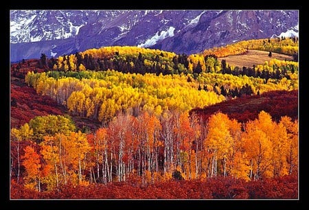 Colors of Autumn - beautiful, colors of autumn, picture