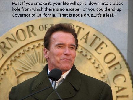 California Governor Arnold Schwarzenegger - california, governor, arnold schwarzenegger