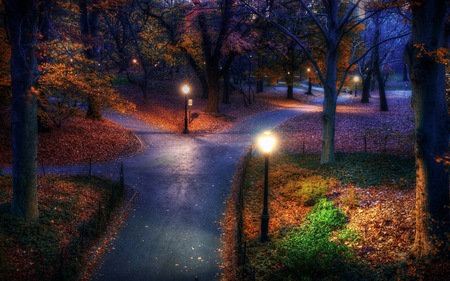 Beautiful Autumn - magic, road, view, lanterns, romance, autum, lamp, grass, light posts, ny, light, park, crossroad, nature, romantic, forest, beautiful, leaves, beauty, autumn, trees, peaceful, autumn leaves, path, walkways, fall, walk, tree, central park, ligts, night, at, autumn colors, alley, splendor, city, colors, lights