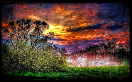 Almost Miss It - trees, sunset, ray, nature, beauty, forest, sky