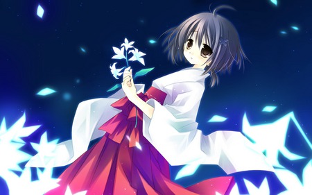 shining under the night - girl, anime, miko