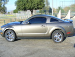 2005 Mustang