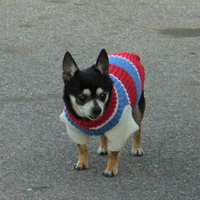 Does this sweater make me LOOK FAT??