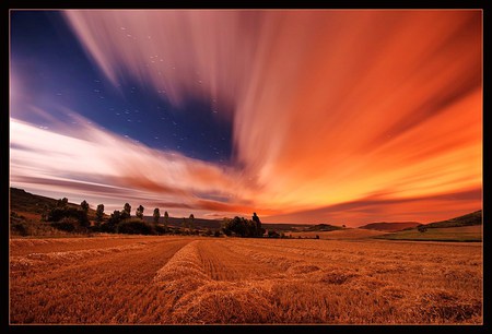 Splash of gold - sky, clouds, golden, field, trees, sunset