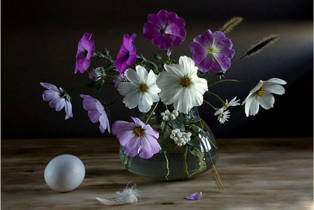 Contrast - petunias, still life, vase, purple petunias, feather, white daisies, egg, flowers, daisies