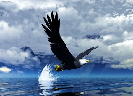 The catch - wings, eagle, sky, talons, water, fish, catch