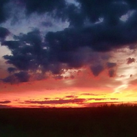 Sunset over the canefields