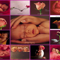 baby collage