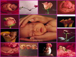 baby collage