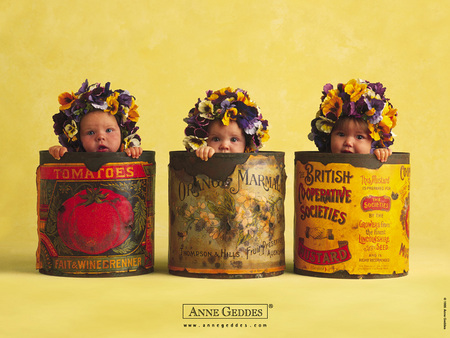 baby - anne geddes, flower, wreath, can