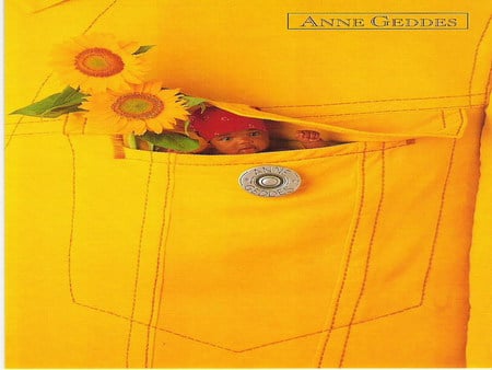 baby - pocket, anne geddes, yellow, sunflower