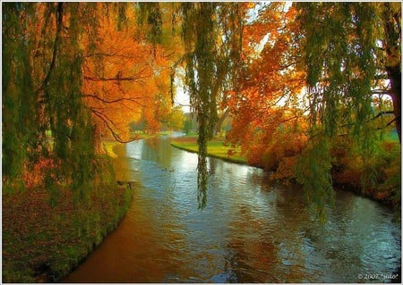 Colors of Autumn - picture, colors of autumn, beautiful