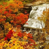 Beautiful Waterfall