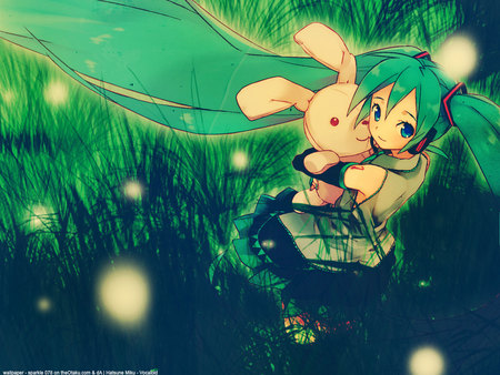 Miku Hatsune Bear