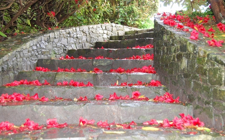 Winding Steps in Tullymore - winding, petal, steps, tullymore