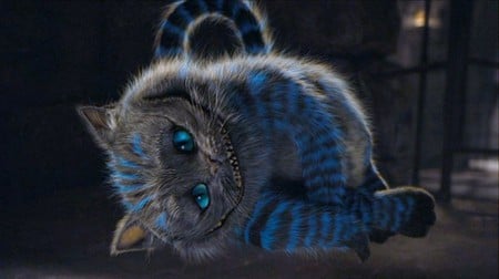 Cheshire Cat - alice in wonderland, cheshire cat, movies