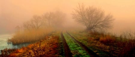 Spooky Path - path, plants, road, water, fog, trees, mist, grass