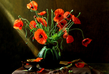 Eternal Summer - brown tablecloth, light, brown pottery, curtain, vase, red poppies, green fabric, red and black, table, leaves, flowers, poppies, green vase