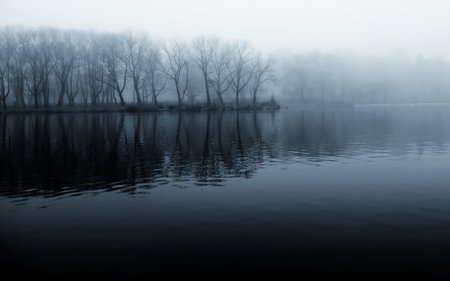 morning fog theme - lakes, nature