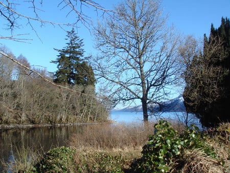 patterns of nature - river, trees, loch ness, water, highlands, snow, scotland, mountains