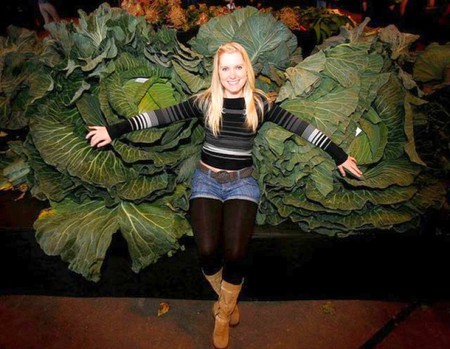 Big Leaves - picture, big leaves, cool