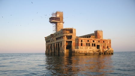 Birds Paradise on Sea - sea, bird, birds, paradise