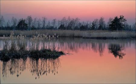 Dawn on a Swamp - swamp, sky