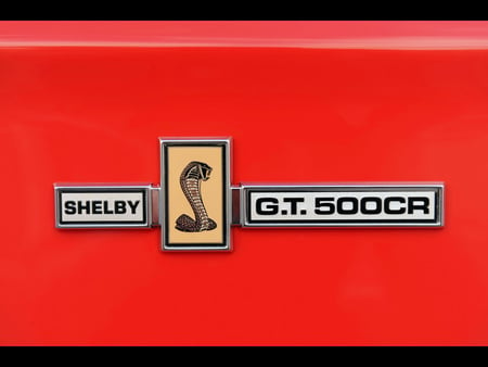 GT500 - shelby, ford, mustang