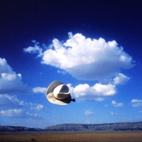 Windy day in Arizona