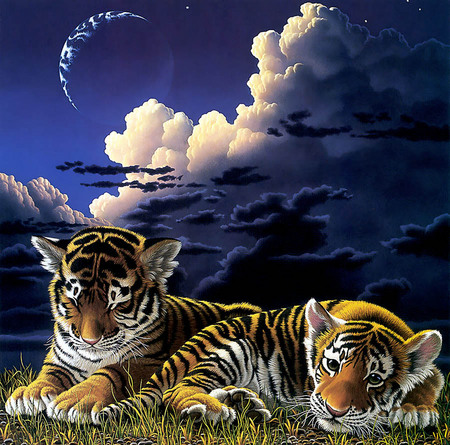 tiger cubs  art by William Schimmel