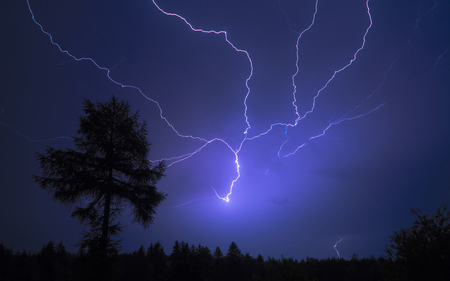 Stormy Night - sky, trees, night, storm, nature, dark, beautiful, blue, tree, lightning